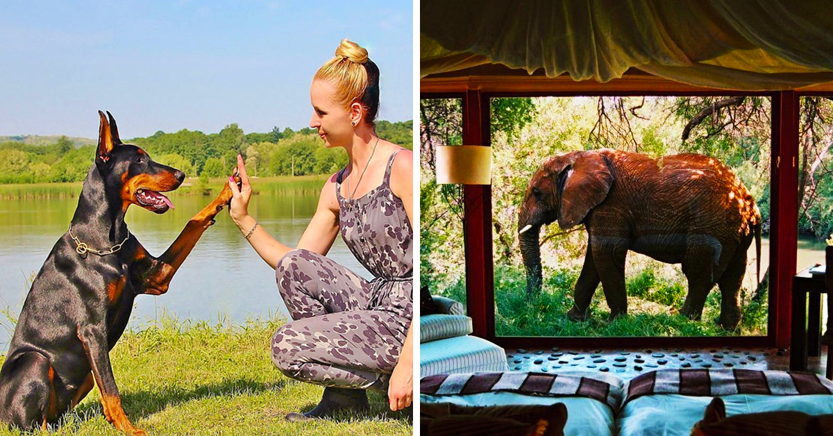 25-hotels-around-the-world-just-perfect-for-animal-lovers