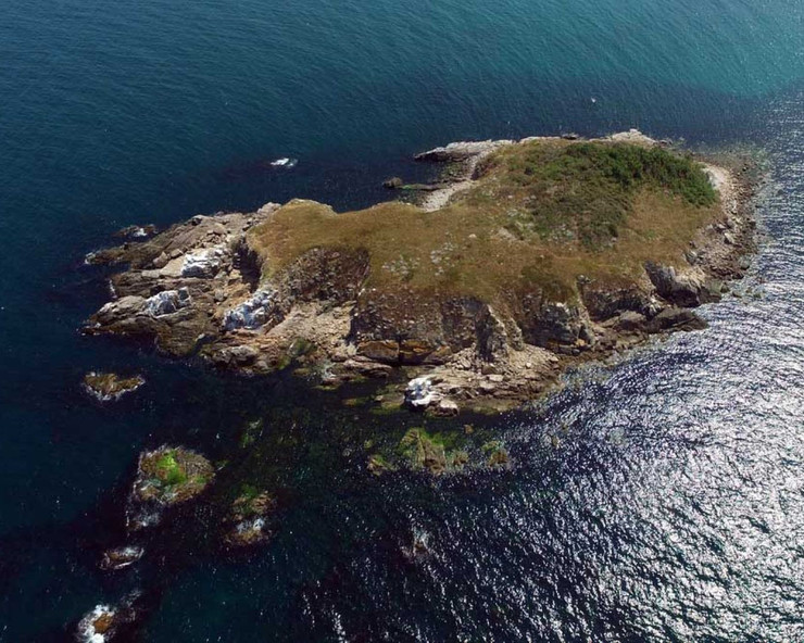 Epic Snake Island Google Maps Update Info