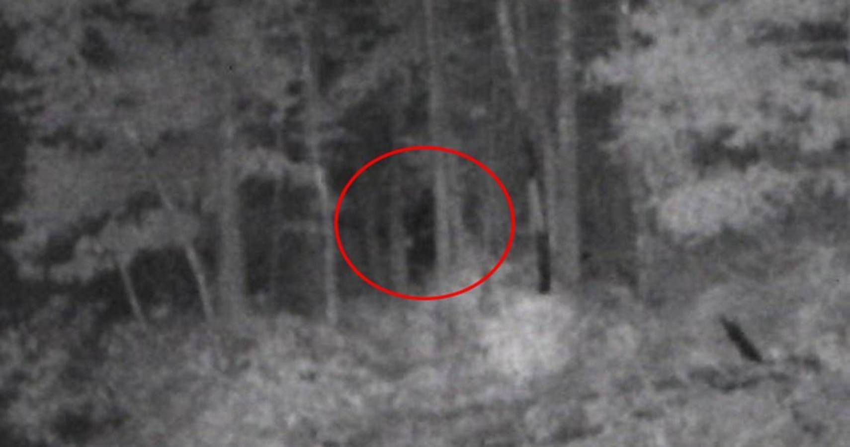 zayley bigfoot