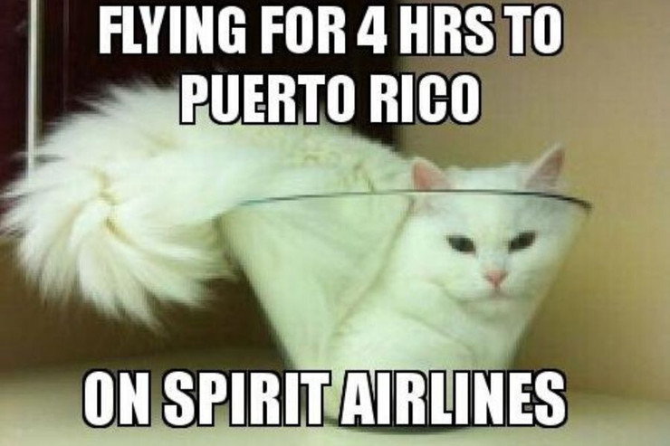 10 Hilarious Memes About Spirit Airlines That Are Sadly All Too Real