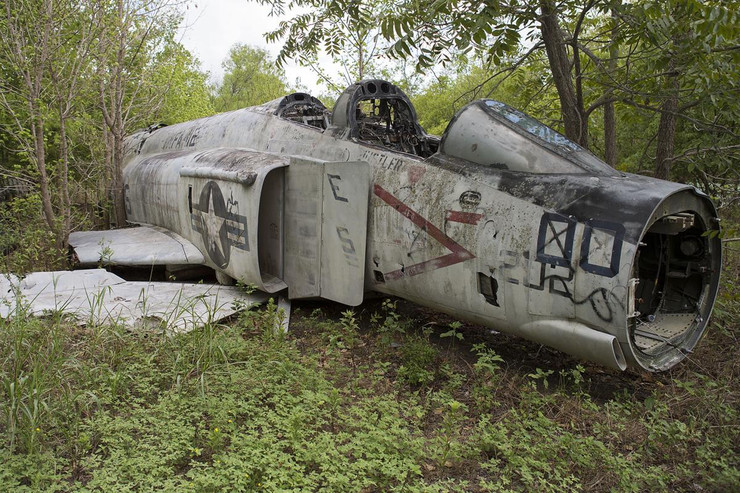 Épave d'avion dans une forêt