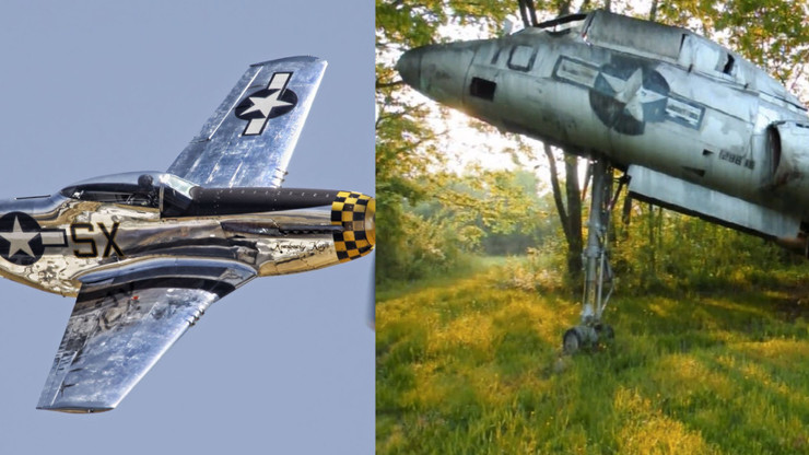 Avion de guerre abandonné dans les arbres